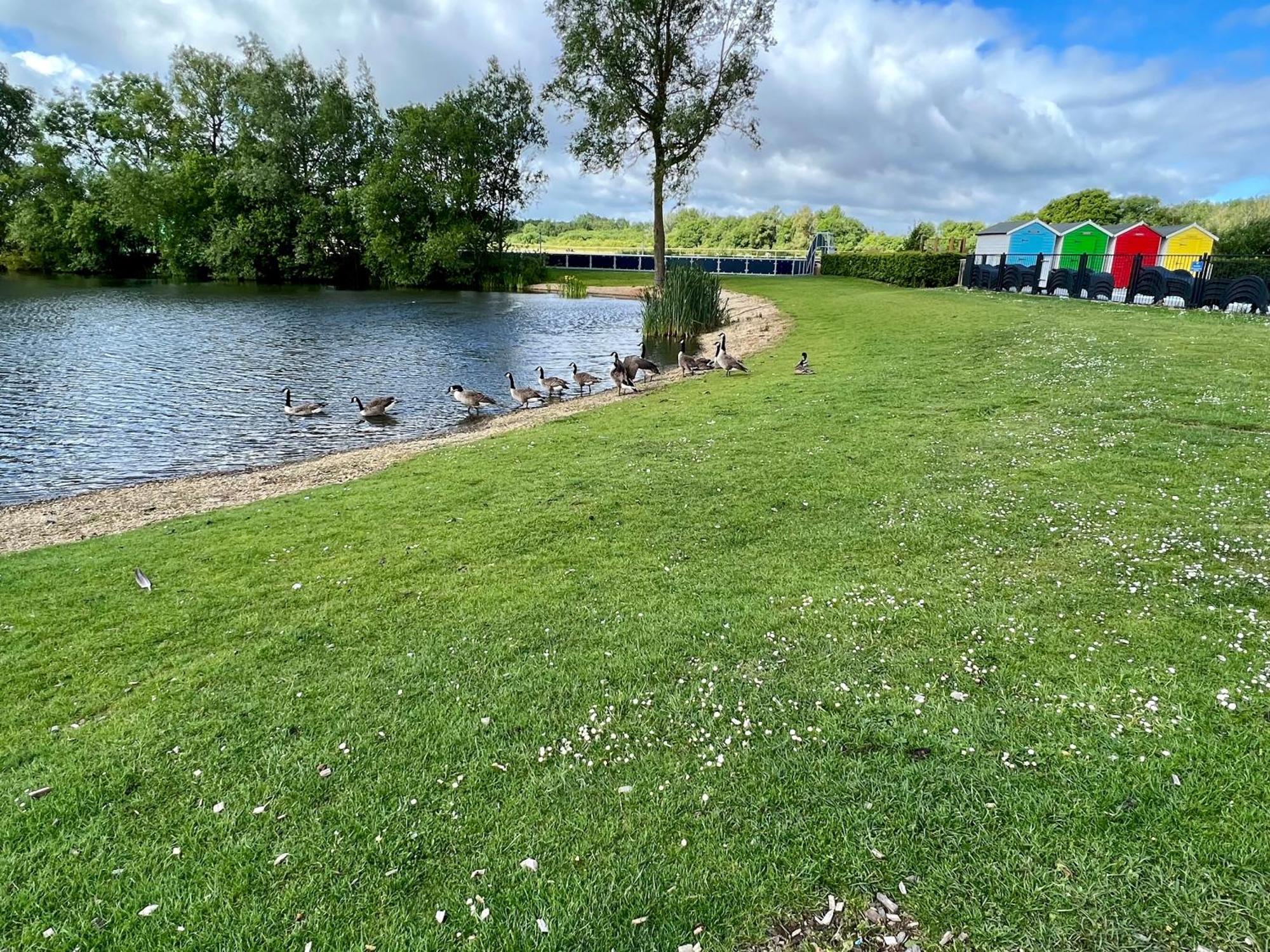 Paws Lodge, Hot Tub, Pet Friendly South Cerney Exterior photo